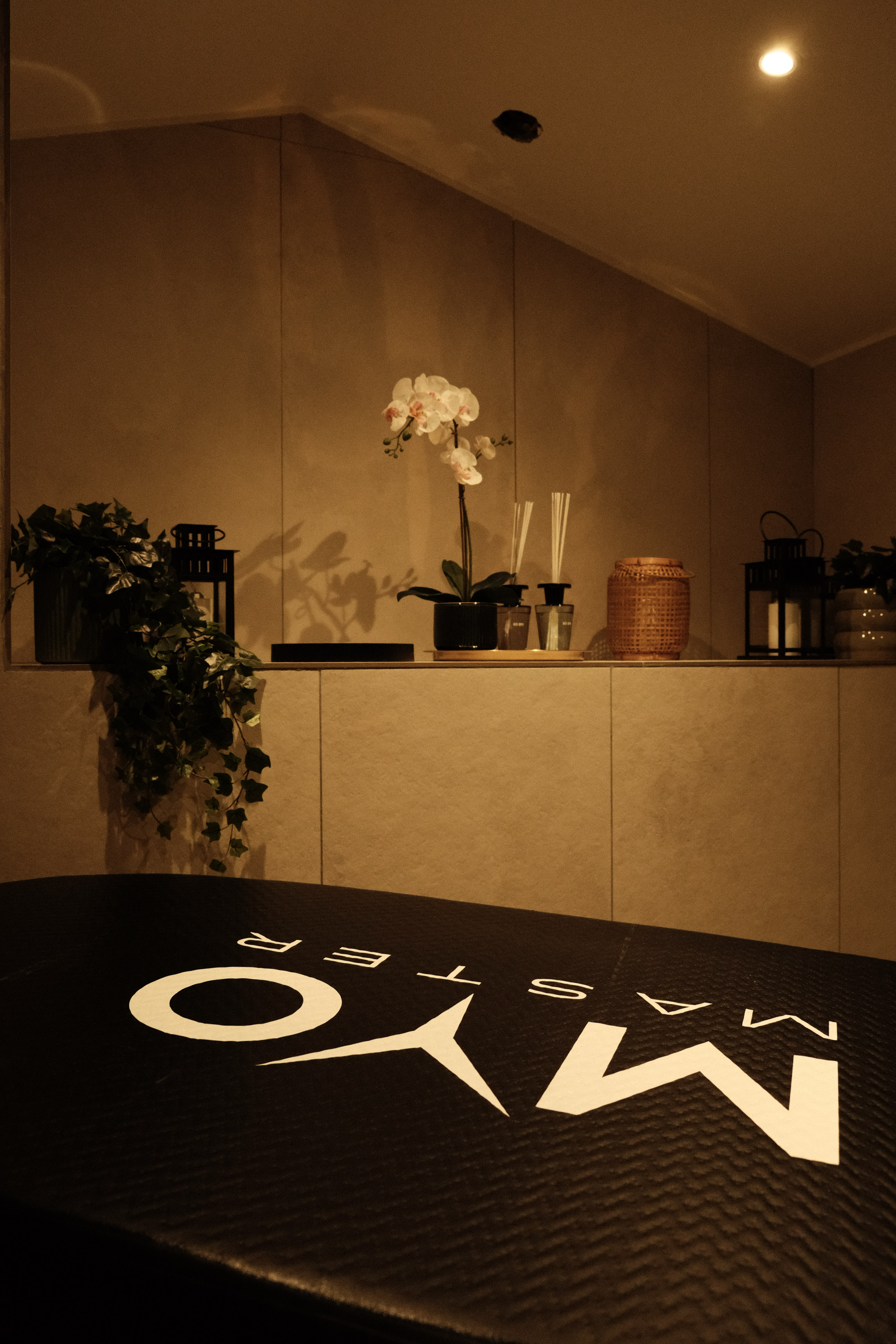 Recovery Suite ice baths