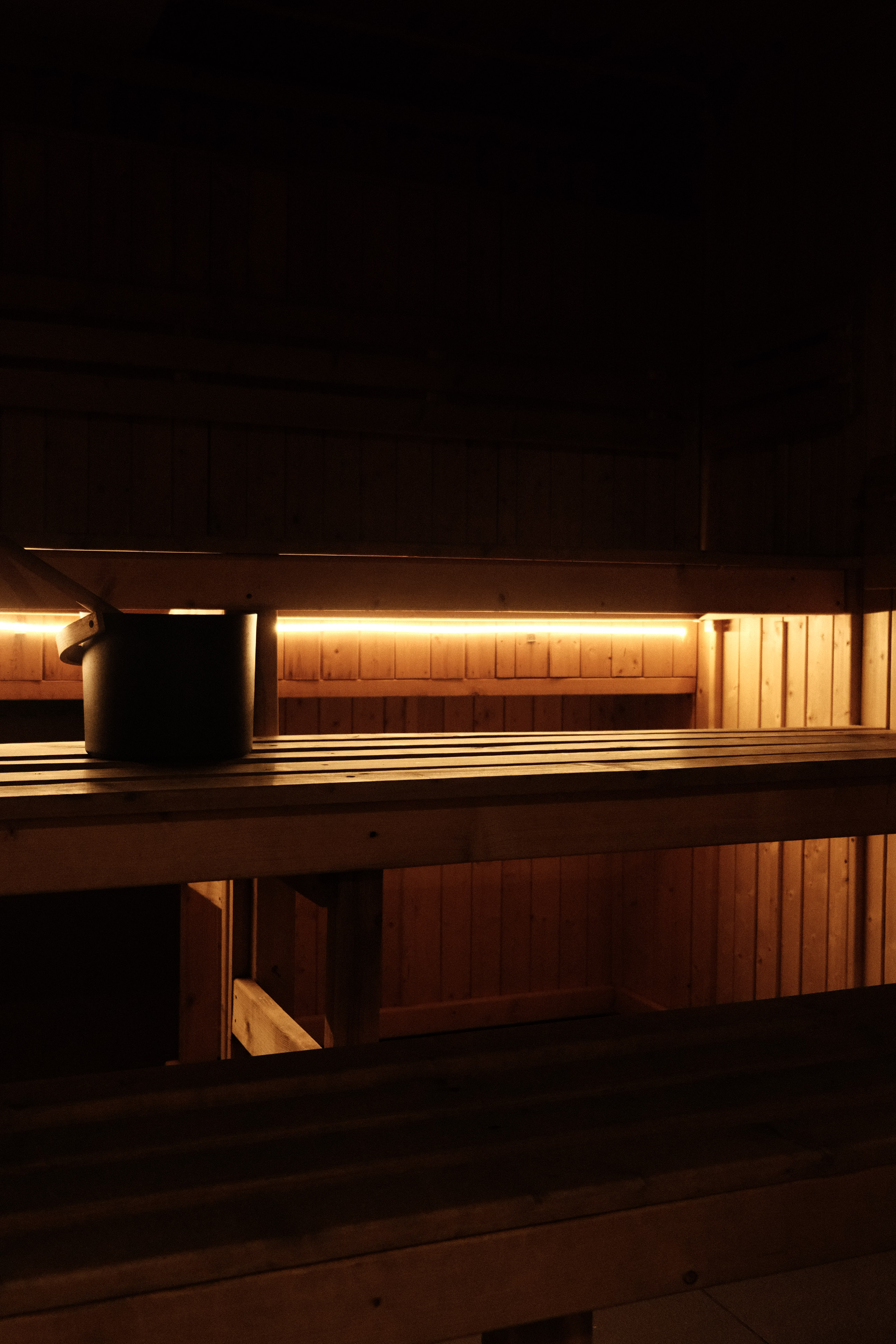 Recovery Suite Sauna